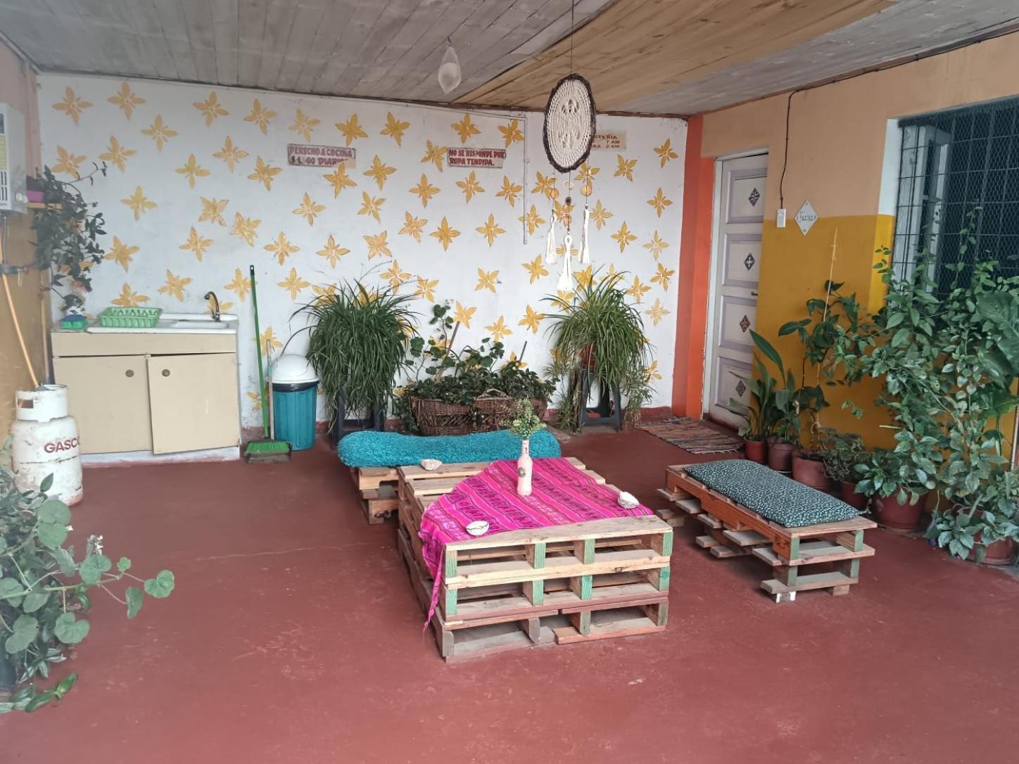 Espacio Floresta - Entre Plantas Y Arte